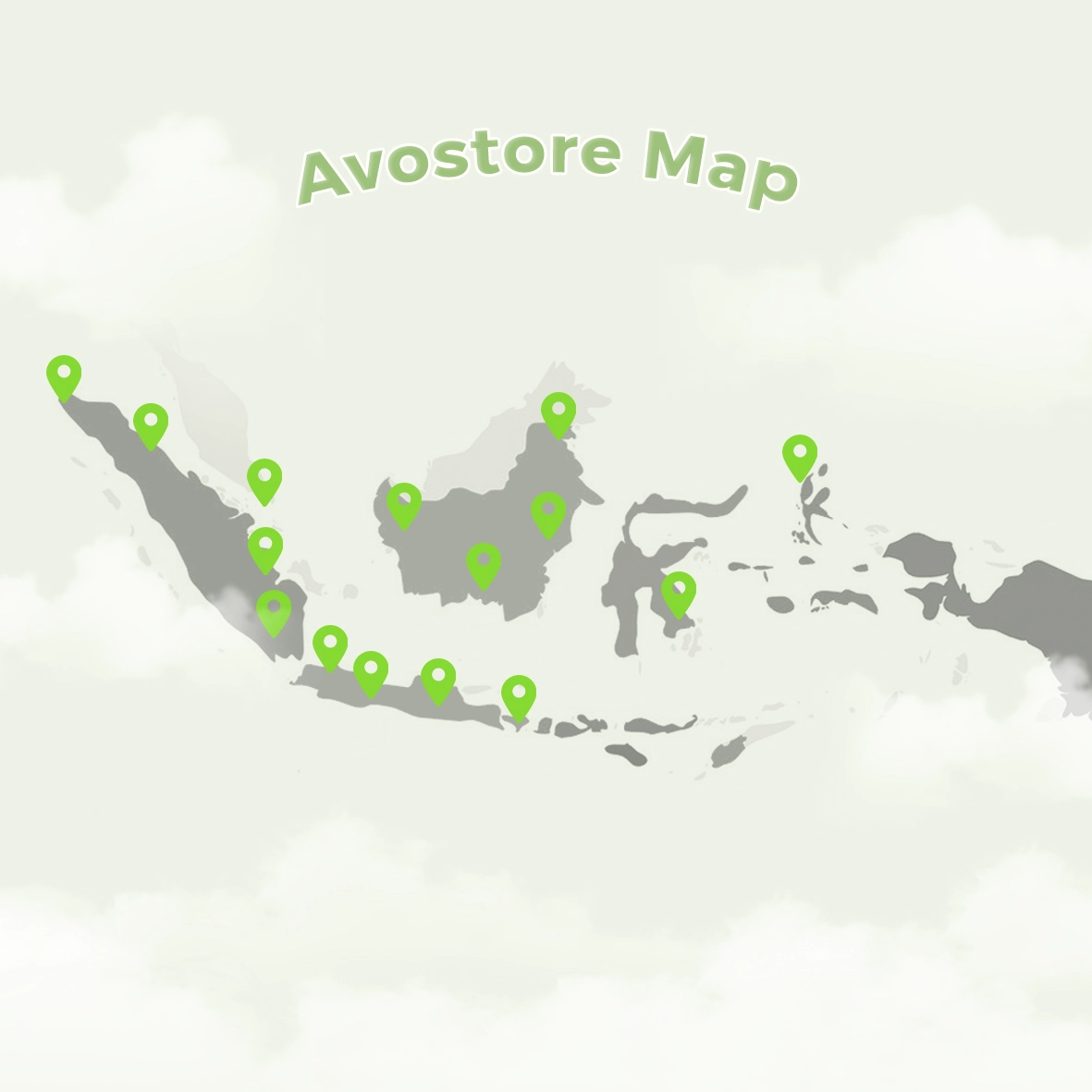 avo-store-content